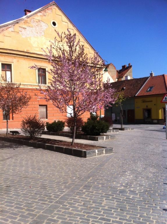 Old City Mary Apartment Brasov Exterior photo